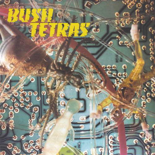 Bush Tetras - There Is a Hum / Seven Years